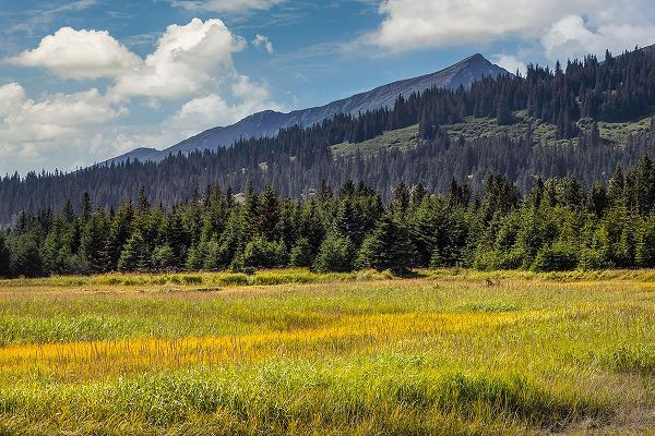 Jones, Adam 아티스트의 Meadow and mountains at Silver Salmon Creek-Lake Clark National Park and Preserve-Alaska작품입니다.